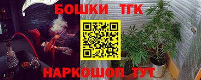 МДПВ Новозыбков