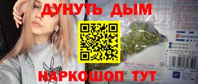 МДПВ Новозыбков