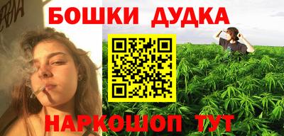 МДПВ Новозыбков