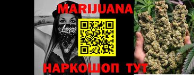 МДПВ Новозыбков