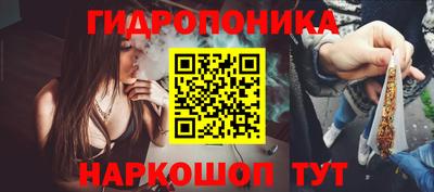 эйфоретик Новокубанск