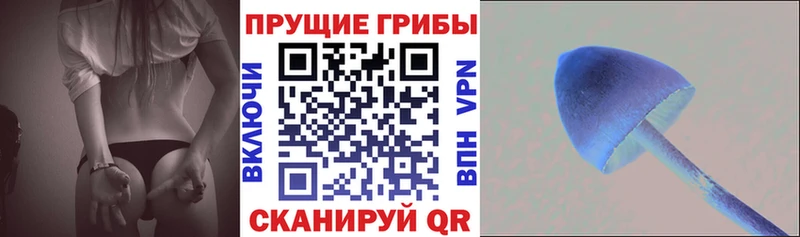 ОМГ ОМГ рабочий сайт  магазин  наркотиков  Чайковский  Галлюциногенные грибы GOLDEN TEACHER 