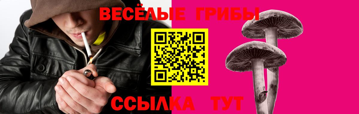 Псилоцибиновые грибы Cubensis  Вход с VPN  Чайковский 