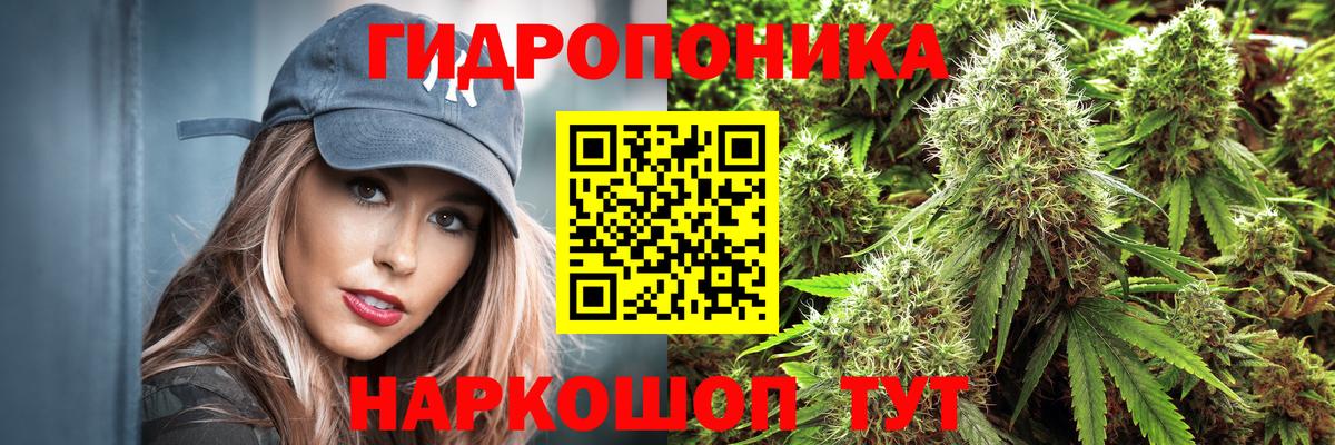 Канабис семена  Бошки марихуана план  Чайковский  Шишки марихуана планчик  Вход с VPN  Каннабис индика 